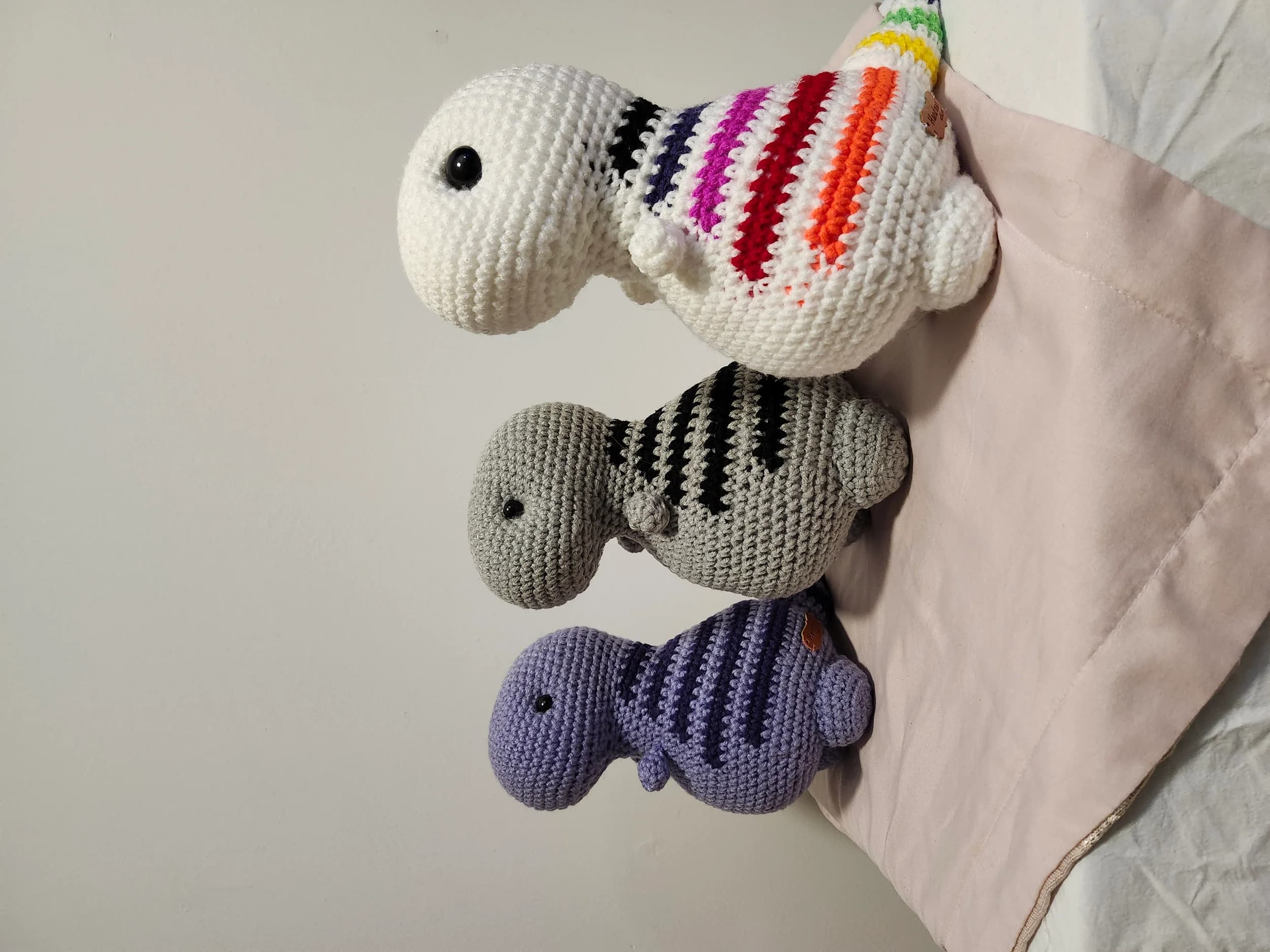 Cozy T-Rex